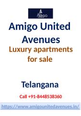 Amigo-United-Avenues-luxu.9200979.powerpoint.pptx