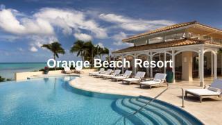 Ultimate Orange Beach Resort.pptx