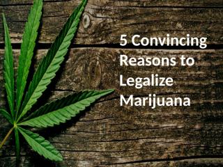 Reasons to Legalize Marijuana.pptx